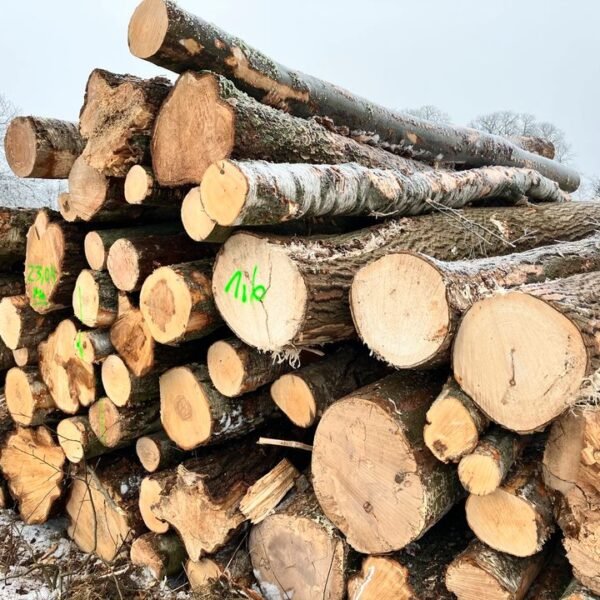 Kiefer-Stammholz – Komplette LKW-Ladung 50 Raummeter – PEFC-zertifiziert